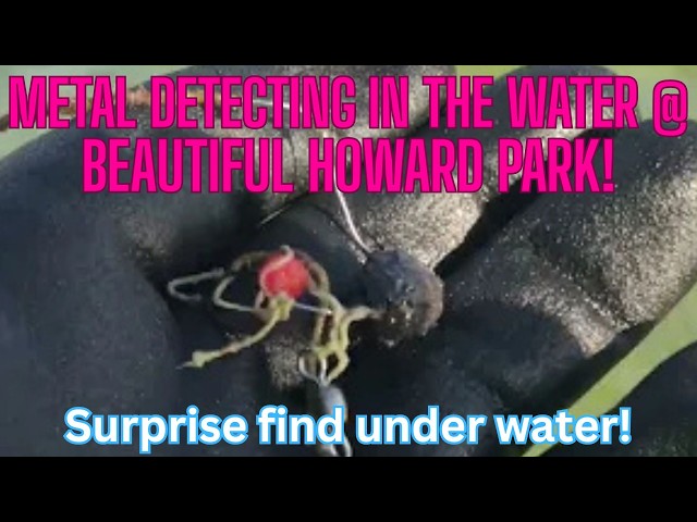 Relaxing Gulf of Mexico Water Hunt with a Surprise find underwater! #mondaydigs @ Howard Park