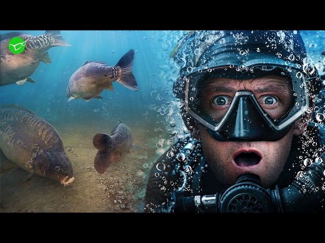 Korda UNDERWATER - After Hours with Darrell Peck | Korda Carp Fishing