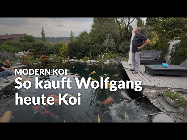 Wolfgang's 100,000-liter pond with about 50 jumbo koi | Modern Koi Blog #8247