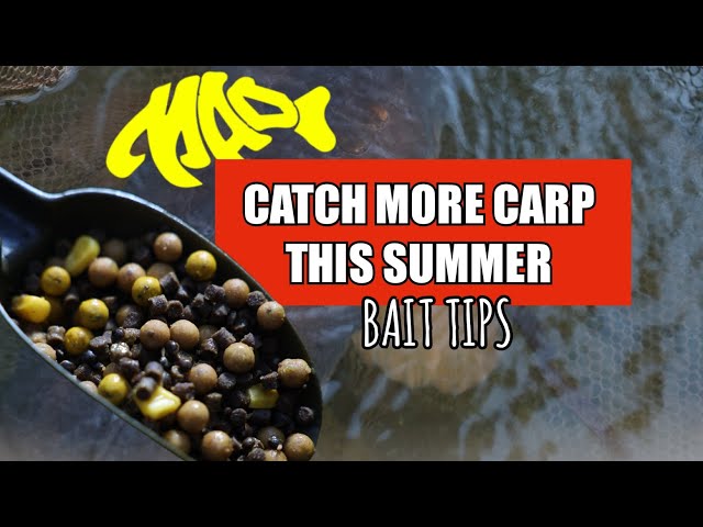 CATCH MORE CARP IN SUMMER | SUMMER BAIT TIPS | CARP FISHING