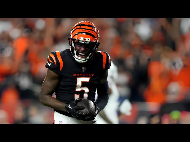 Tee Higgins | 2024 Highlights