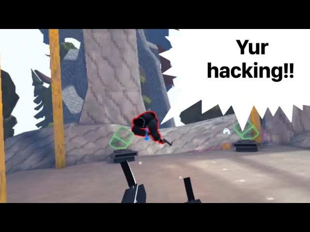 Getting accused of hacking in animal company arena mode