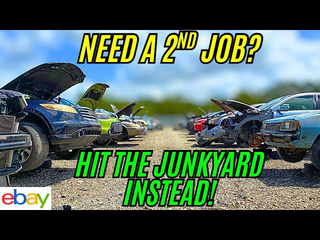 Need Extra Money? Make CASH at the Junkyard! 💰