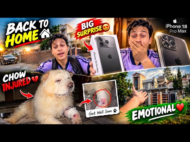 Home in Jammu😍 Got a big surprise as soon as I arrived🥹 | Chow injured in Jammu😭 How? | Bought iP...