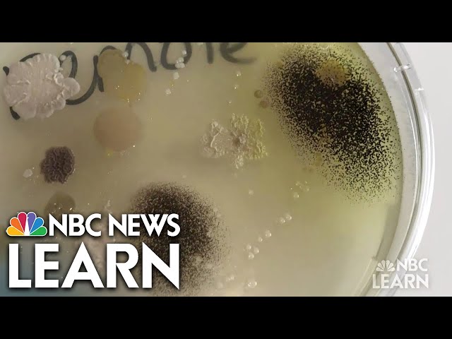 Get Healthy: Hygiene