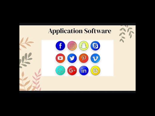 Different Types of Software: System, Application, Programming, and Driver Software