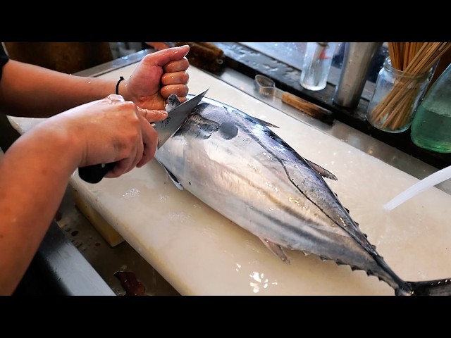 Japanese Street Food - The BEST SASHIMI LUNCH SETS in Kochi! Seafood Japan