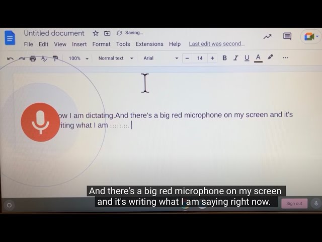 Chromebook Sticky Keys Voice Typing Zoom Accessibility Options