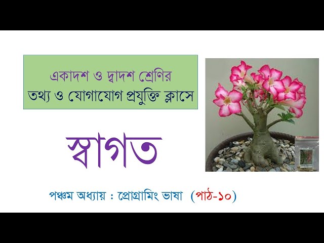 HSC ICT | 5TH CHAPTER | PROGRAMMING LANGUAGE | PART 10