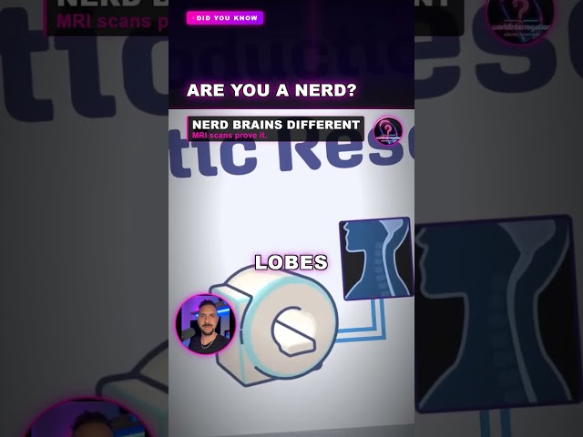 Are you a Nerd?