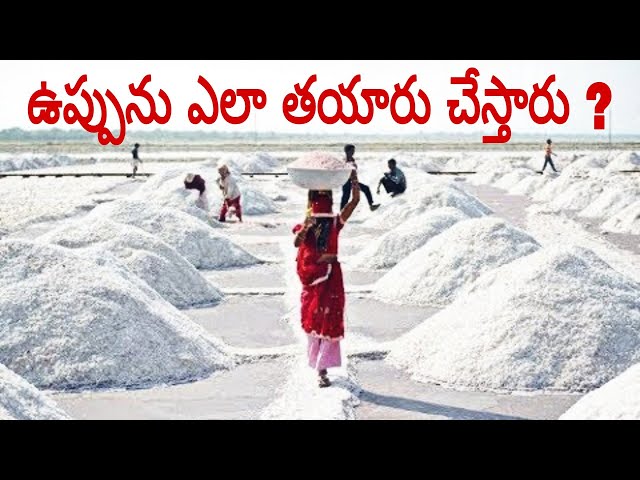 How to make salt from sea naturally || know N telugu
