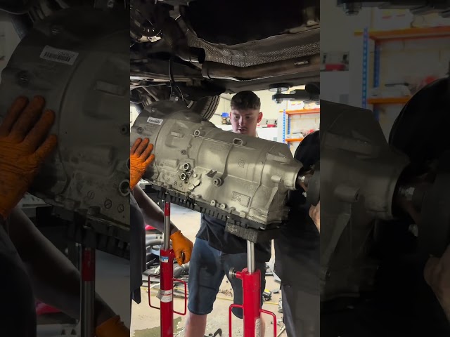 BMW 530d Timing Chain Replacement 🦾