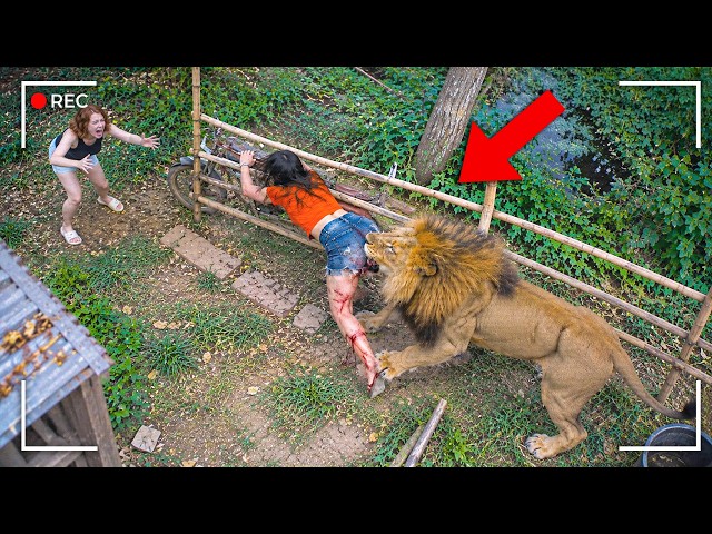 IDIOTS who were EATEN ALIVE by Deadly Animals