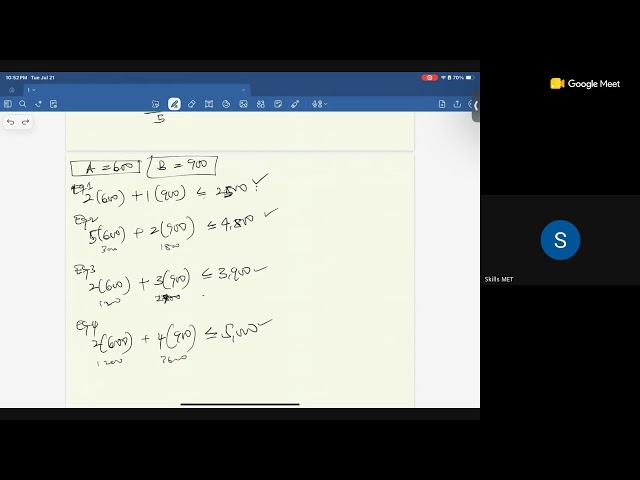 PM Session 4: Linear Programming and Shadow Prices