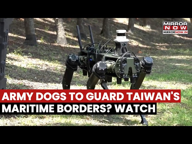 Taiwanese Institute Unveils Armed Robot Dogs For Maritime Defence Amid Cross-strait Tensions
