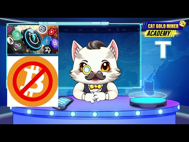 What Are Altchains and Altcoins? Quick Crypto Guide⚡️CAT GOLD MINER ACADEMY