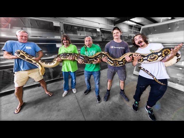 LARGEST SNAKES IN THE WORLD!! | BRIAN BARCZYK