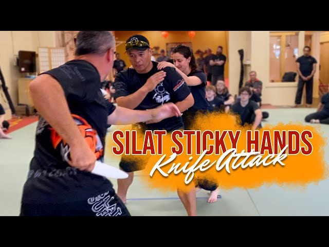 Silat Sticky Hands Vs Knife (TRAINING DRILL) - Silat Suffian Bela Diri 