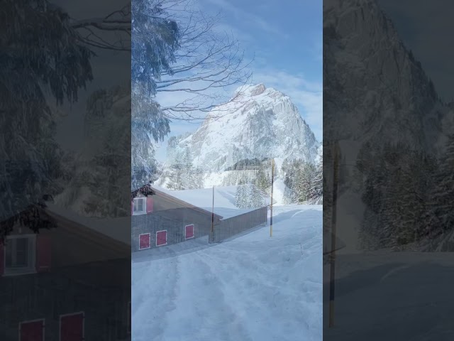 Preview: Swiss Winter Hike