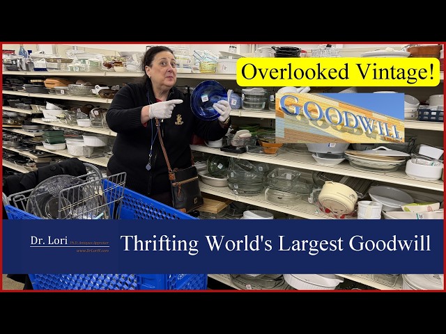 Overlooked Vintage! Thrifting at Biggest Goodwill Store in the World with Dr. Lori