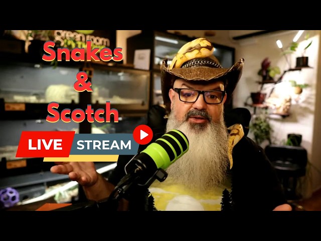 Snakes & Scotch Livestream!