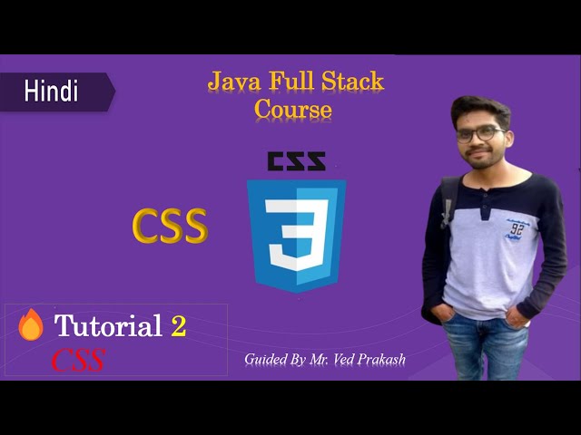 Tutorial 2 CSS Selectors Tutorial: Understanding Selectors and Their Properties!