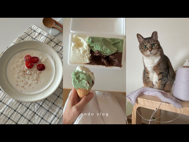 더워서 집에만 있고 싶다..🌞 💧비스코티 만들고, 두부 콩국수 해 먹기...🐱