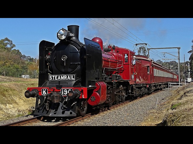 Steamrail | Hurstbridge Wattle Festival 2026 | K190