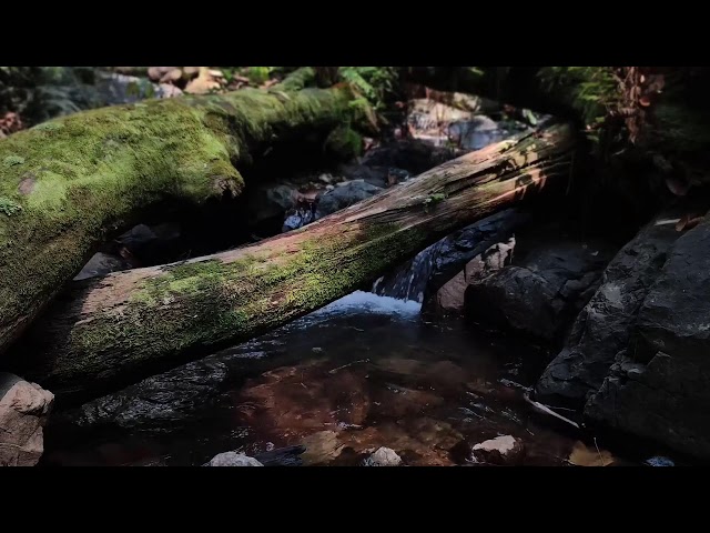 Relaxing Piano Music – Healing Vibes & River Flow for Stress Relief and Meditation