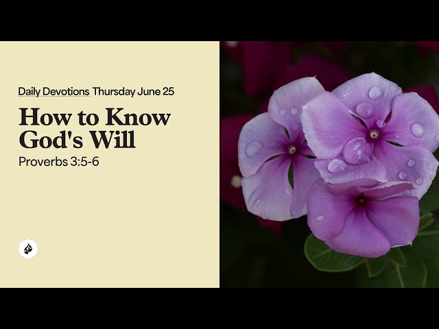 How to Know God’s Will – Daily Devotional