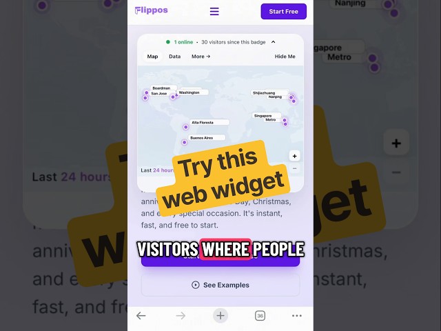 Building in Public Day 87: try this web widget  #coding #programming #buildinpublic #developer #Tech