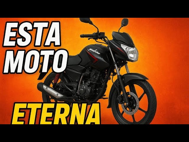 THIS IS THE MOST UNDERRATED MOTORCYCLE !!️PULSAR 135 LS
