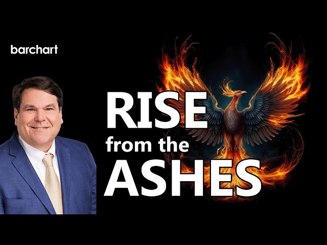 Phoenix Rising: The Secret Screener for Finding Stock Reversals