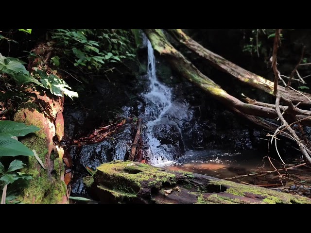 Relaxing Music, Sleep Music, Water Sounds, Meditation Music, Healing Piano for Mind Healing