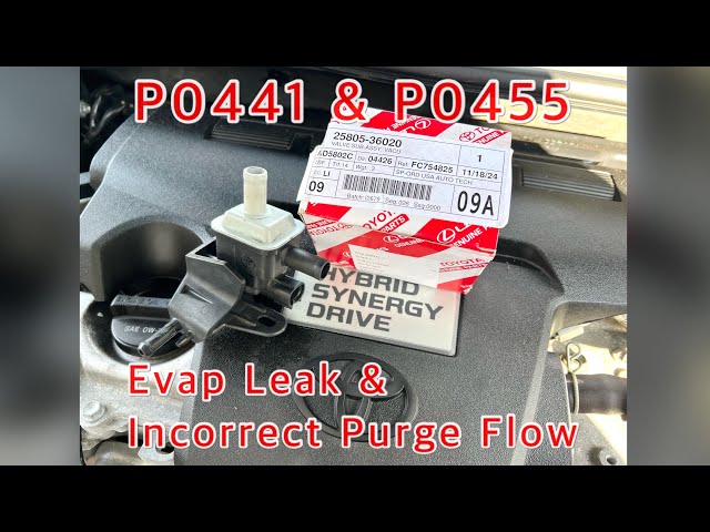 Toyota Camry Evap System Incorrect Purge - How To Test Evap System & Replace - Code P0441 & P0455