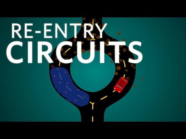 Cardiology: Re-entry Circuits #cardiology #ubcmedicine