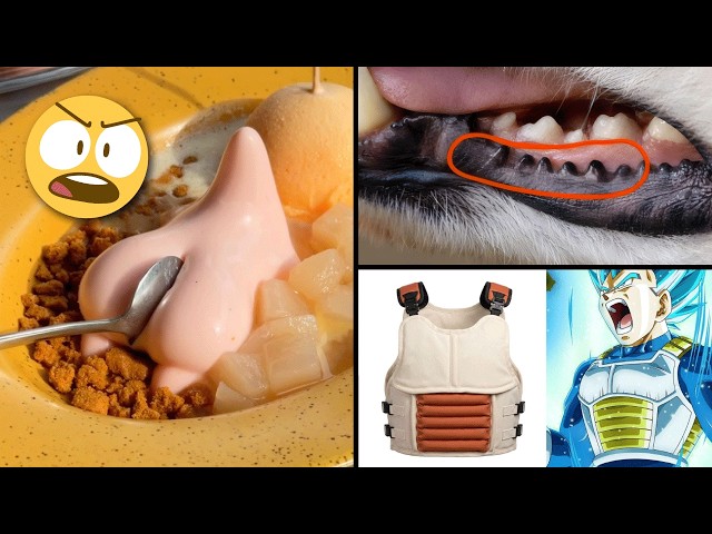 25 Things You DIDN'T Know 5 Minutes Ago!! ⏰😲 [276]