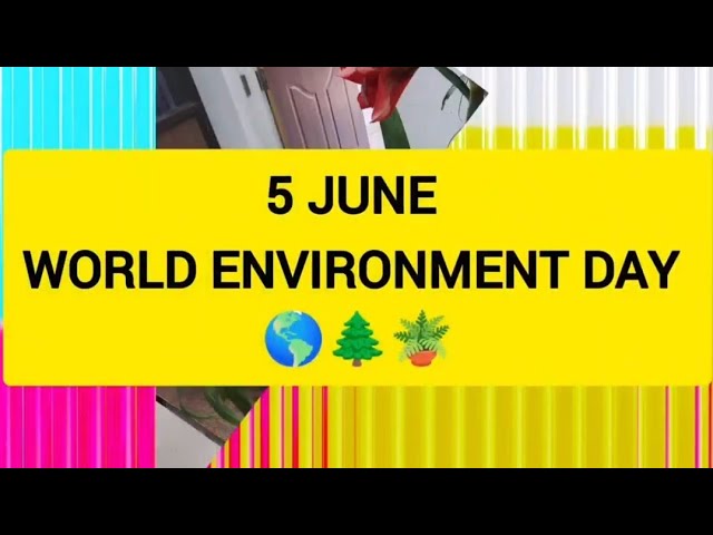 Environment Day Celebration | Painting, Slogan writing, Plantation| #sivt #motivation #education