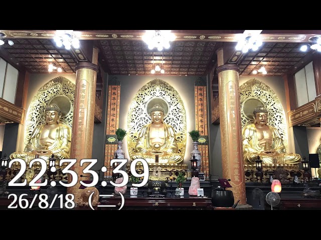 僧伽林頻道二十四小時輪播-僧伽林佛號