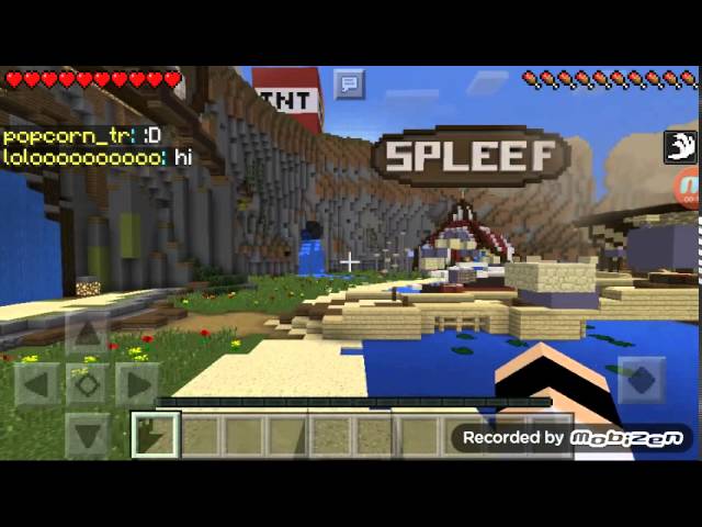 LBSG