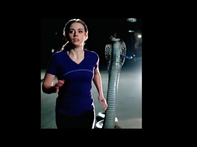 Indian Rock Python and Baby girl  #snake #Shorts#viral #trending #funny #funnycartoon #shoryfeed 