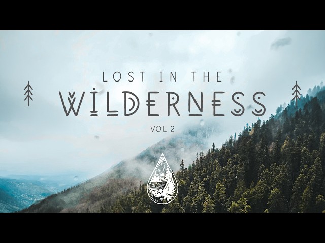 Lost In The Wilderness ↟ • An Indie/Folk/Alternative Playlist | Vol. 2