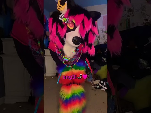 all my fursuits!! (updated bc ang3l) #furry #antizoo #fursuit #furries #fursona #scene #therian