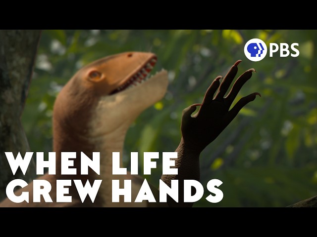 What Drove Life Into The Trees?