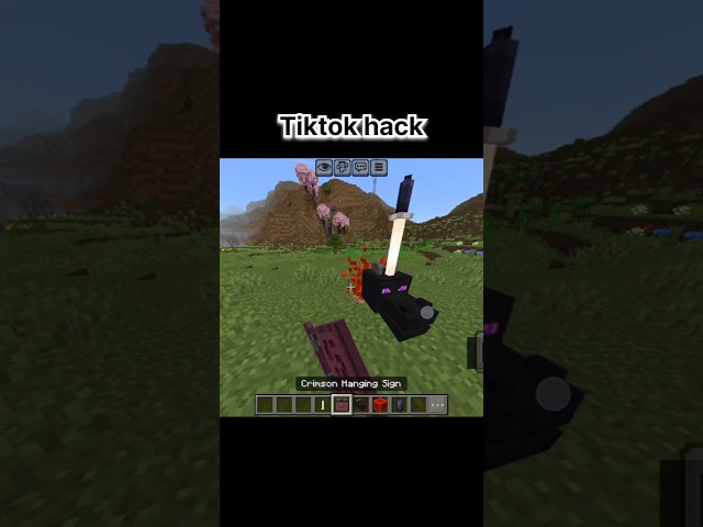 minecraft tiktok hack. #minecraft #gaming #shorts