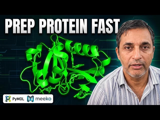 Master Protein Preparation for AutoDock Vina in MINUTES