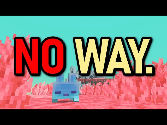 THE SIFT DIMENSION. MINECRAFT LIVE MEMES.