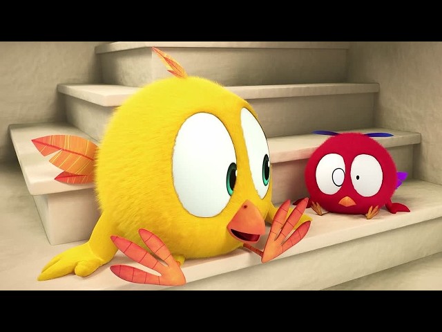 Chicky's Journey | Where's Chicky? | Cartoon Collection in English for Kids | New episodes