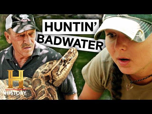 Badwater Site is SWARMING With Pythons | Swamp People: Serpent Invasion (S5) | History