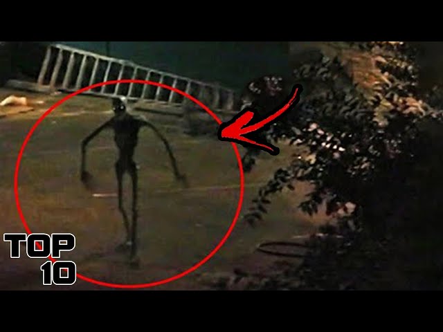 Top 10 Terrifying Cryptids From Ohio That Actually Exist